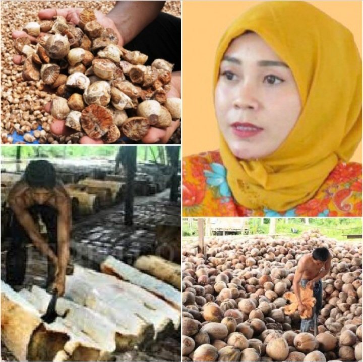 Hilirisasi Produk Hasil Perkebunan